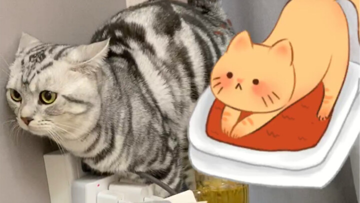 How jealous are cats, really?