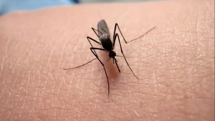 Đây là video được đầu tư cực khủng!