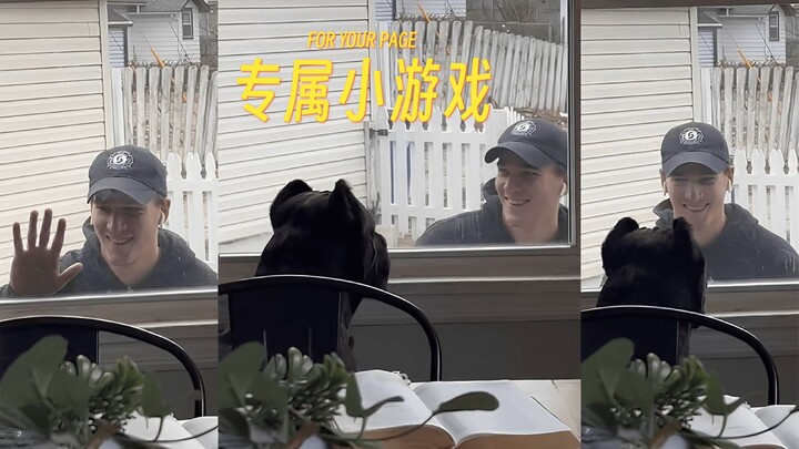 Lucu banget, pengin bawa pulang dua-duanya!