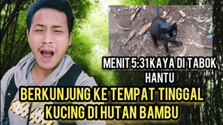 Kuasa Allah Kucing Hitam Ini Menunjukan 3 Anaknya Yang Bersembunyi Di Hutan..!