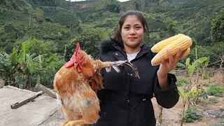 THỊT GÀ XÀO NGÔ ( Món Ăn Ít Người Biết Đến) | Hoa Ban Tây Bắc