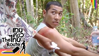 กะเทยร้องกรี๊ดเลย! รวมฉากเจ็บตัว ล้มลุกคลุกเขี้ยว | เทยเที่ยวไทย