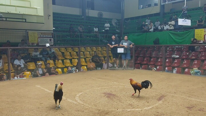 2HITS DOUBLE ENTRY 4th FIGHT WIN SI TALISAY JAN. 11, 2026