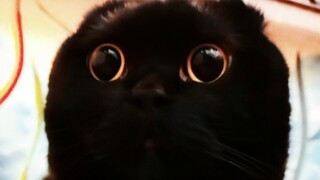 Apa gambaran yang muncul di benakmu saat melihat benda berwarna hitam?