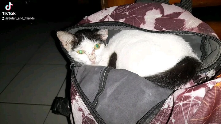 tulog tulog muna