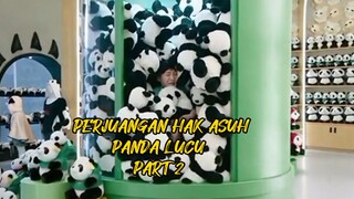 PERJUANGAN HAK ASUH PANDA PART 2