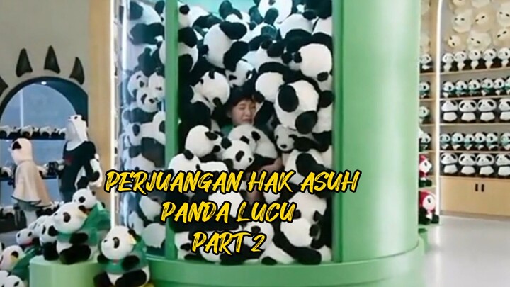 PERJUANGAN HAK ASUH PANDA PART 2