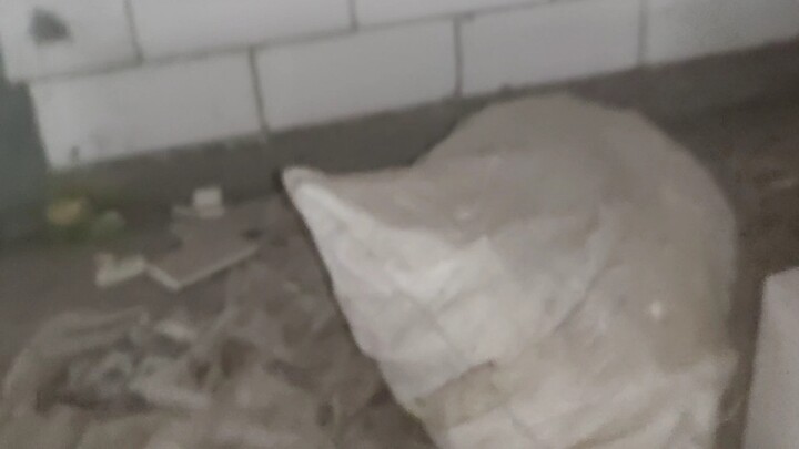 Penyelenggaraan Asian Games di Hangzhou malah menghancurkan rumah para tunawisma.