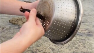 上次煮这玩意把我的锅都弹破了！