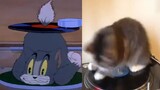 อย่างที่เราทราบกันดีว่า Tom and Jerry เป็นสารคดี