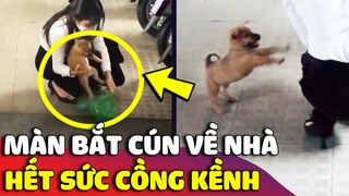 Cười xỉu trước màn 'BẮT CÚN VỀ NHÀ' hết sức cồng kềnh của cô gái và 'CÁI KẾT' | Gâu Đần