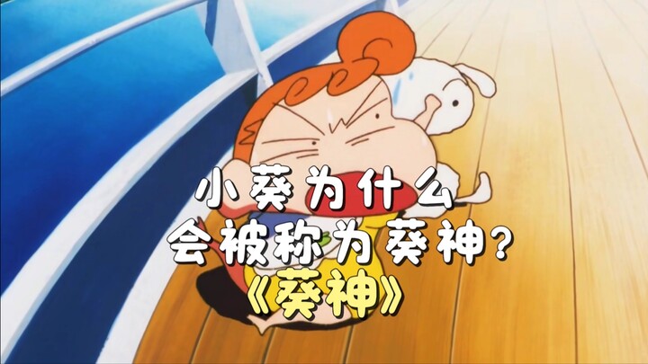 用一集的时长你明白小葵为什么会成为四神之一