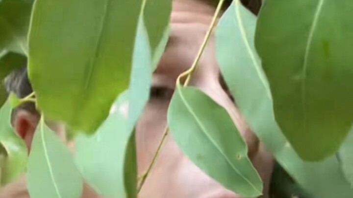 Toksisitasnya benar-benar tinggi 🤤