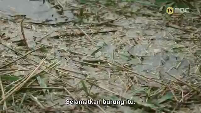Money Flower Eps 2 Sub Indo