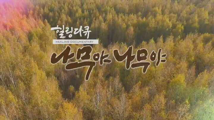 IU Documentary "Tree, Oh Tree"