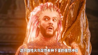 人头鸟身的金乌族，竟然是雄性负责下蛋，脑洞全开奇幻电影#