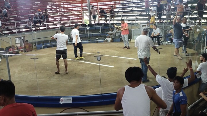 Gold samin Jan parehas kanan Tari mga boss