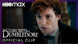Newt Scamander Confuses ﻿Grindelwald | ﻿Fantastic Beasts: The Secrets of Dumbledore | HBO Max