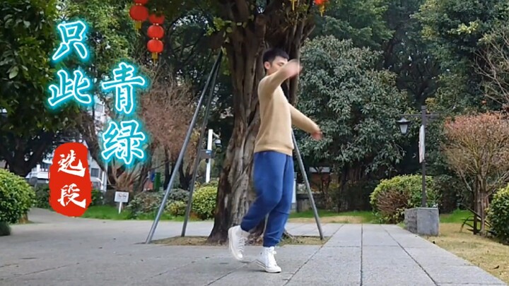只此青绿 斗胆模仿 轻喷…