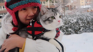 The cat's first encounter with snow—its adorable appearance in the snowy landscape is simply breatht