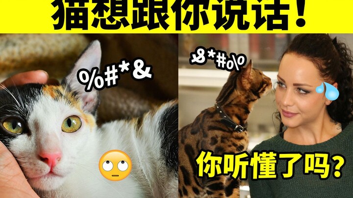 6 signs your cat is trying to talk to you—can you decode them all?