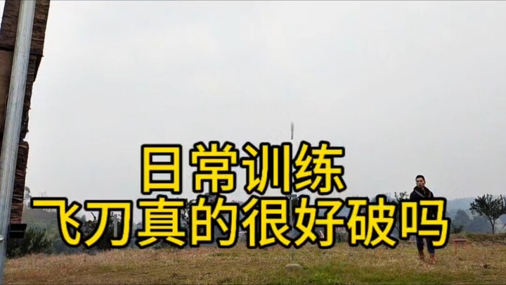 هل حقاً من السهل كسر سكين الطائر؟