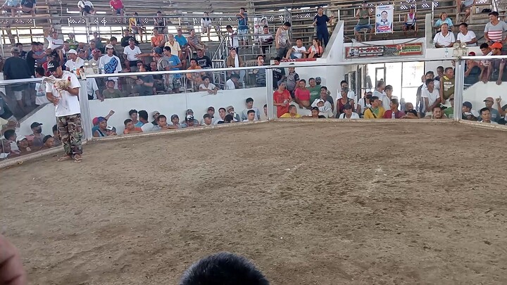 third fight
