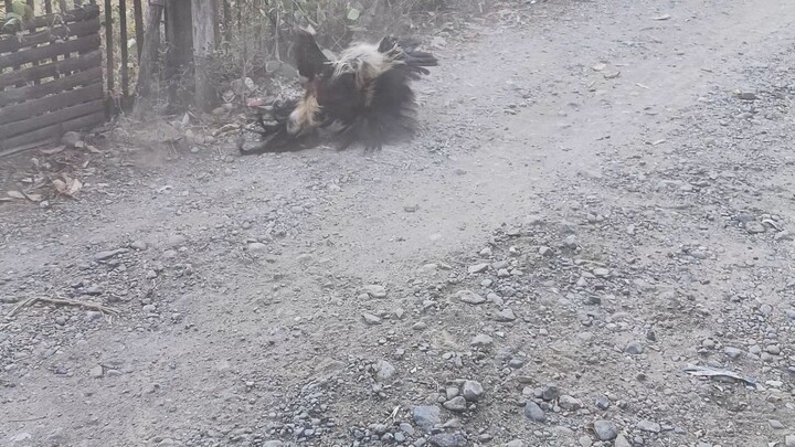 8 months vs 6 months magkapatid sa tatay