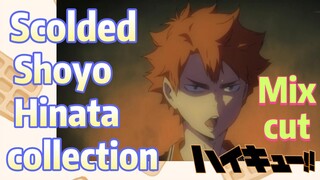 [Haikyuu!!]  Mix cut | Scolded Shoyo Hinata collection