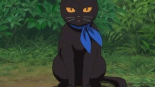This one about turning into a cat is so cute. Sure enough, Gin-san also has natural curls when he tu