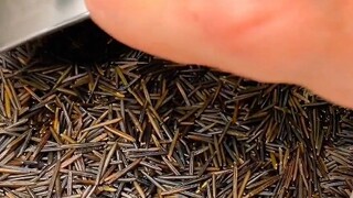 What kind of rice is this?