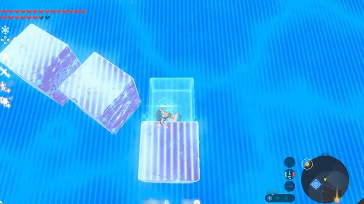 Octopus: A must-play item for Zelda; Tutor: Where are you going?