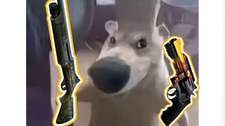 Nge-spam 900, siapa yang Eco nih!