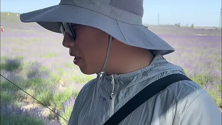 Tôi chỉ là một đứa trẻ ngốc muốn thay đổi ngành du lịch.