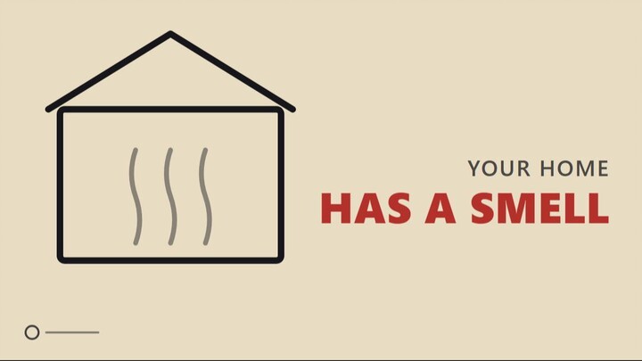 Why Every House Has Its Own Smell - Except Yours