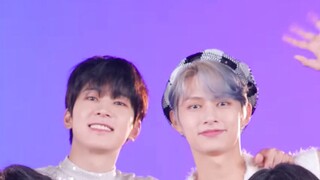 【โย่วฮุย】กลุ่มแมวจัดแถวเรียงกัน | _WORLD เต้นรับช่วง FOCUS