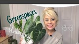 Greenspaces.Id unboxing | Plants from Indonesia!
