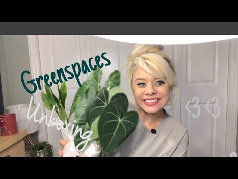 Greenspaces.Id unboxing | Plants from Indonesia!