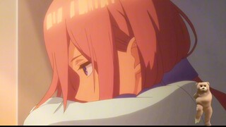 有三玖党吗，错过这条视频就亏了