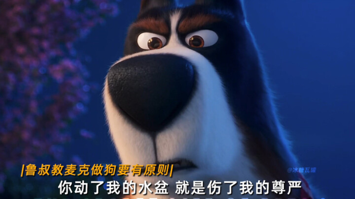 “Bố già giới chó — Lão Lỗ!”