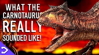 What Did The Carnotaurus REALLY Sound Like?