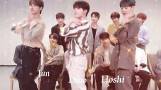 【Seventeen 】无价之哥Jun Dino Hoshi 静选之子