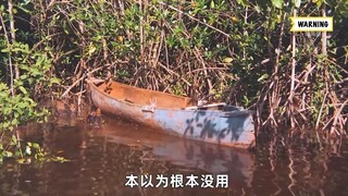 男人被困鳄鱼潭，他能鳄口逃生吗 #电影解说