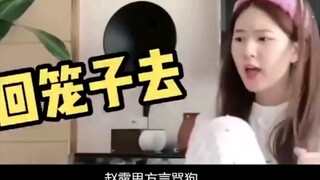 Celebrity pets behave outrageously: Zhao Lusi scolds her dog in dialect, Huang Zitao is attacked