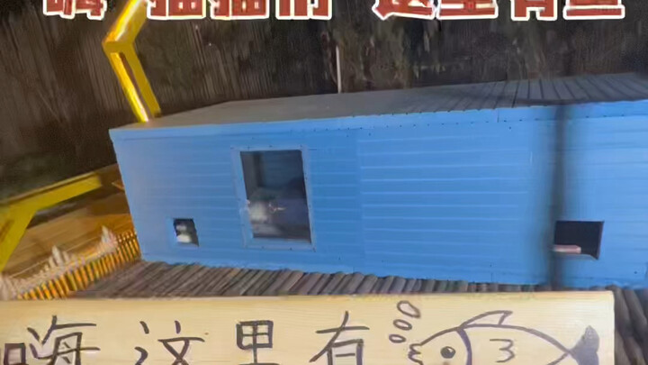 Suhu malam hari telah turun tajam hingga -2°C, sangat dibutuhkan untuk meredakan tekanan pada White 