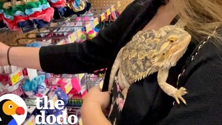 Lizard ไปที่ Walmart กับแม่ของเขา เนื้อคู่โดโด้