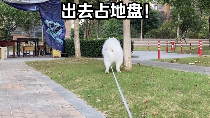 Ever since I got a dog, I’ve never slept in again!