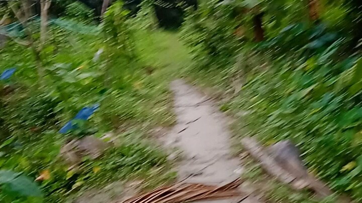 আমার বাড়ী