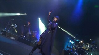 Morfonica - Daylight【Concept LIVE「ff」】