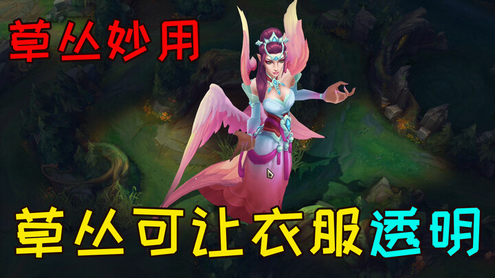 Masuk ke semak-semak memungkinkan melihat detail kulit, sehingga bisa mengetahui apakah desainer "ma